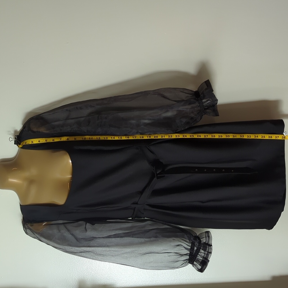 Black Dress with Long Sheer Sleeves